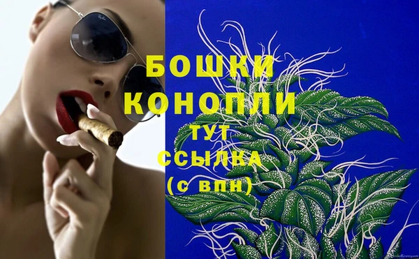 спиды Новодвинск