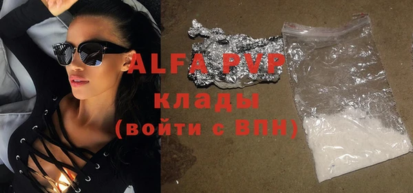 спиды Новодвинск