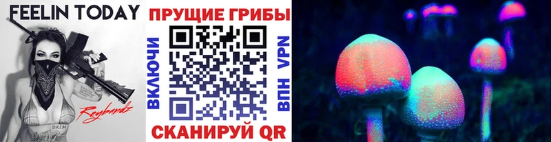 Псилоцибиновые грибы Psilocybe  Бакал 